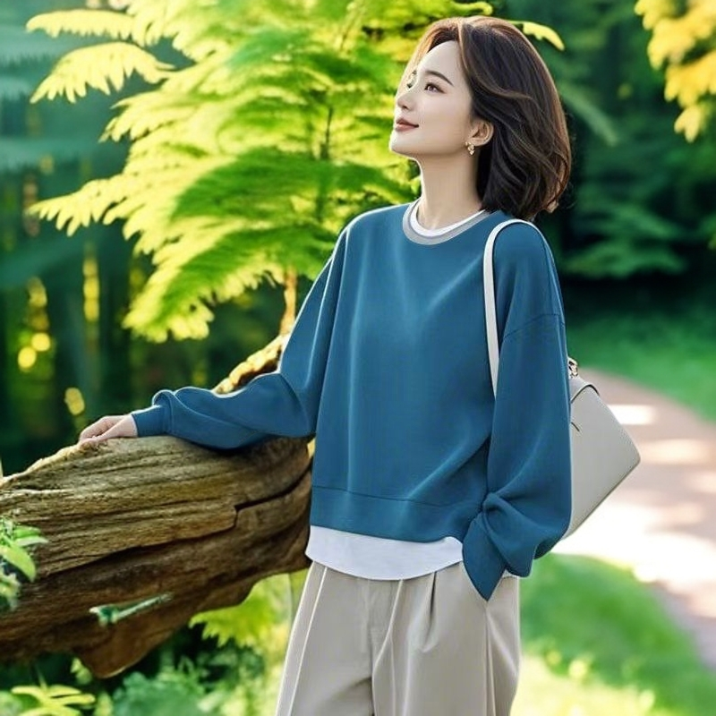 早秋套头圆领卫衣爆款2025新款慵懒风休闲卫衣宽松显瘦气质上衣女