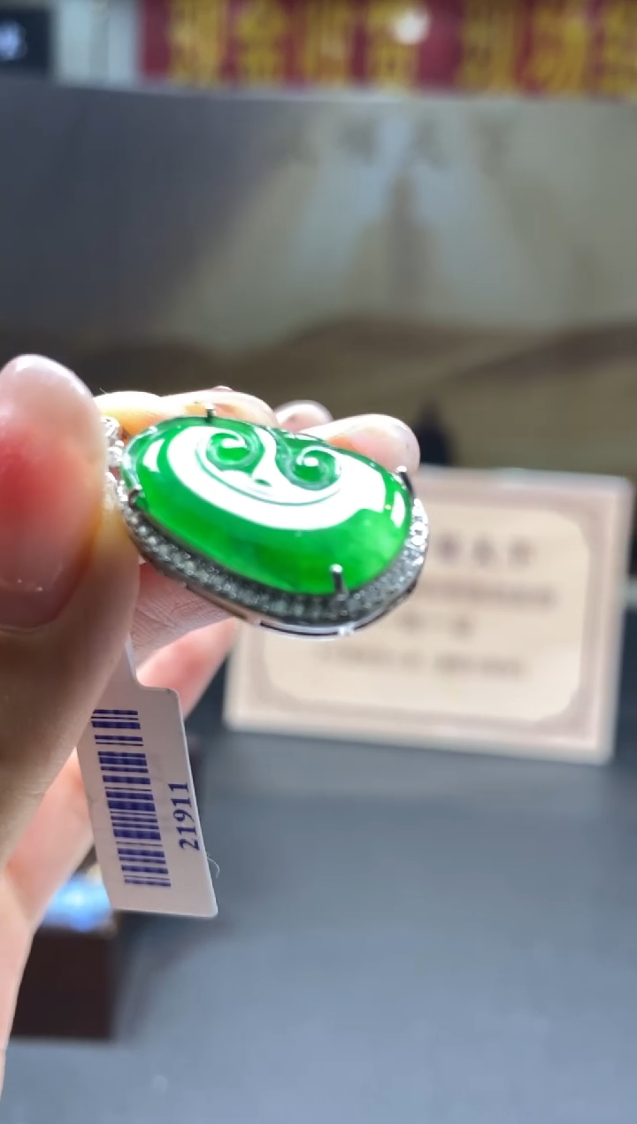 【闪购商品】翡翠颈饰未镶嵌********181