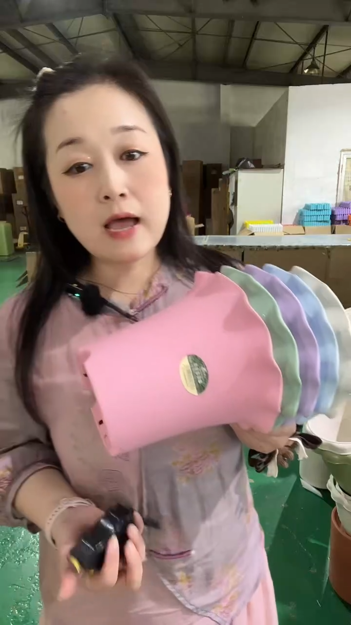 彩色荷叶边5002型号五个带托盘