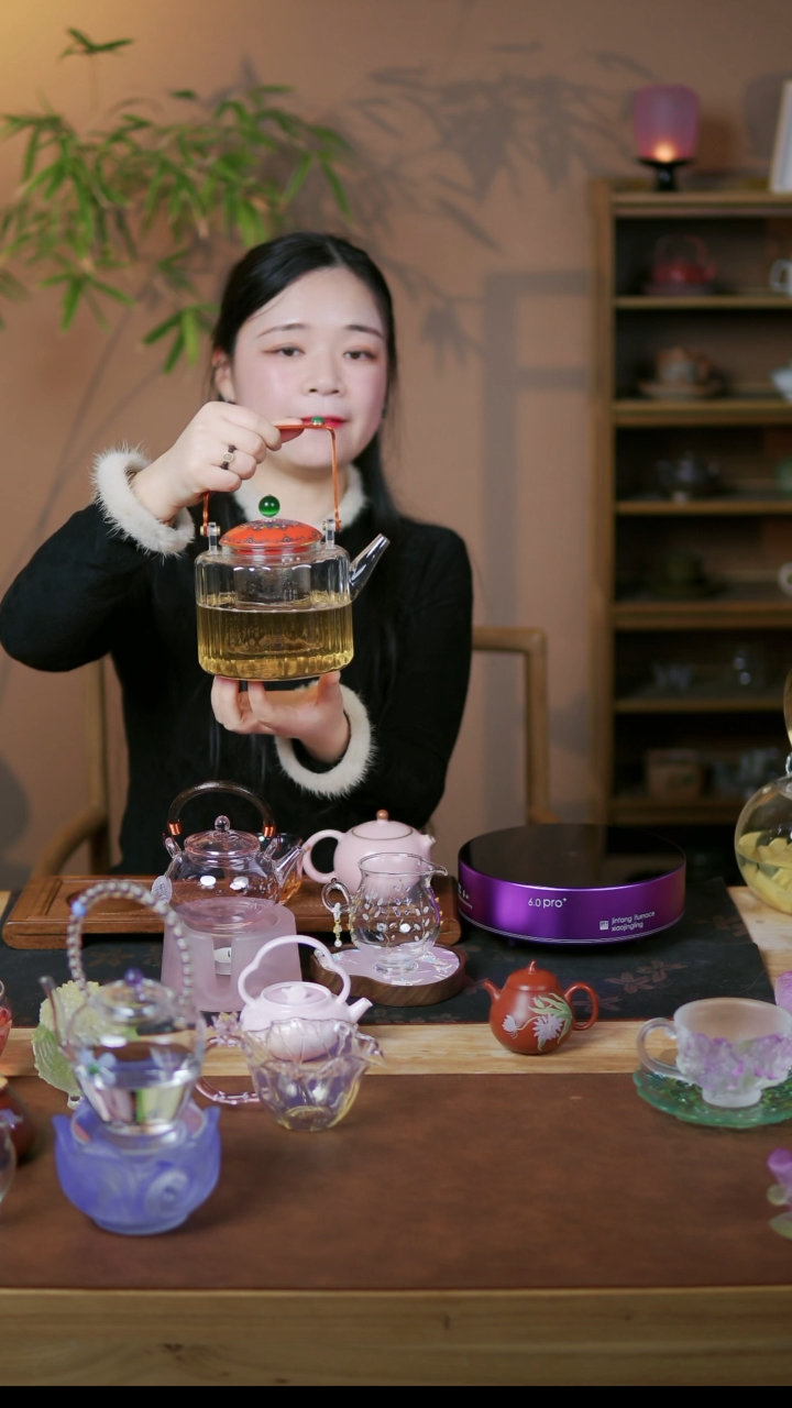 【闪购商品】晋芳 24节气蒸煮提梁壶   