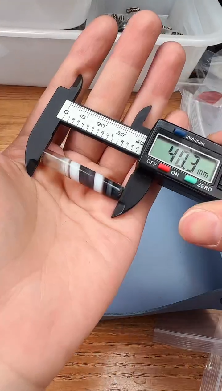 【闪购商品】玛瑙/玉髓颈饰未镶嵌【 肖钟出品 】