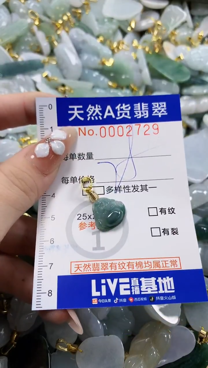 颈饰未镶嵌翡翠天然A货翡翠