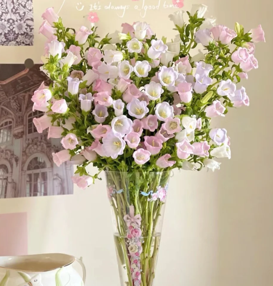 【2单顺丰包邮】风铃 云南鲜花基地现采直发