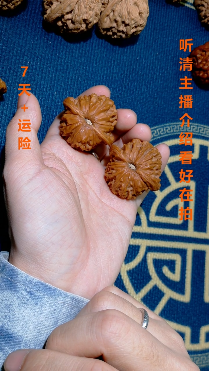 【闪购商品】文玩核桃把件024正磨白狮子41