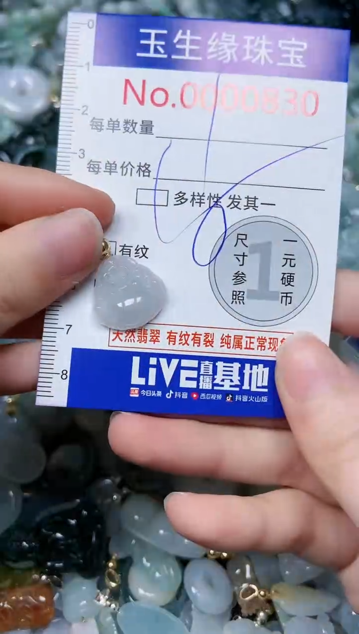 【闪购商品】翡翠颈饰未镶嵌闪购0000830