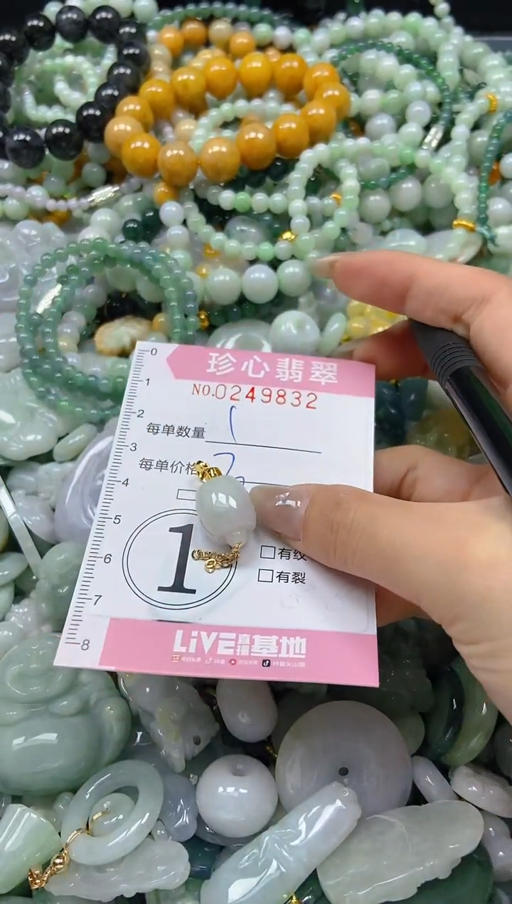 翡翠未镶嵌颈饰闪购0249832