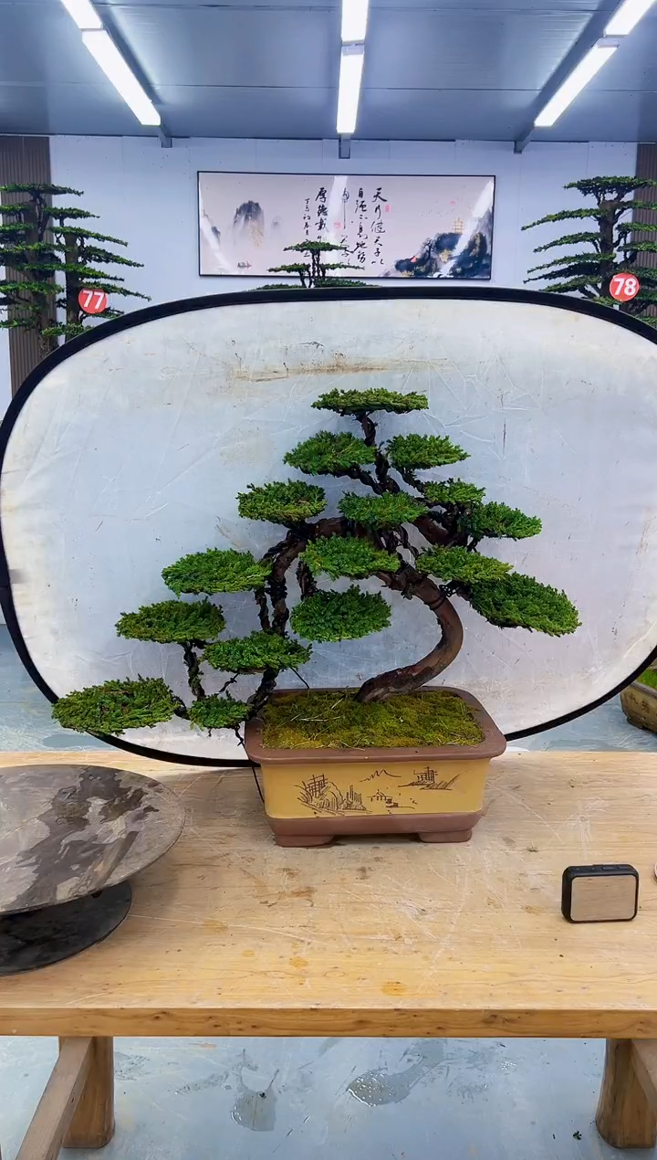 以实际为准小*?00000000