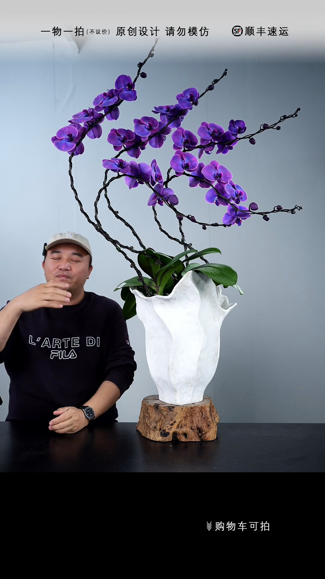 【闪购商品】047号链接【一物一拍】艺术盆景