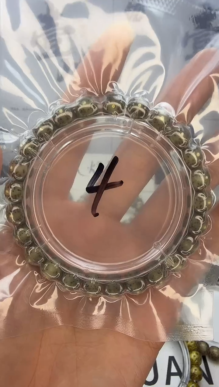 手串星月菩提9/8 灰冰糖玉化 大眼睛 同枝果 小高货