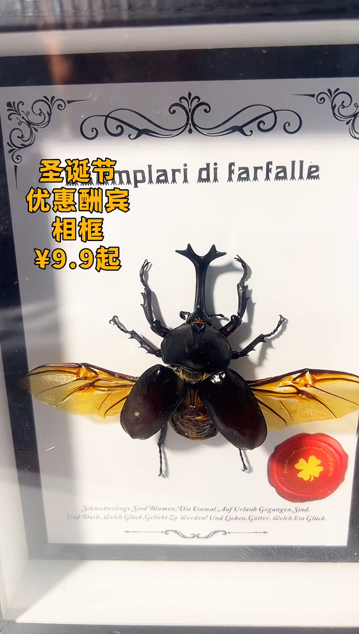 有机玻璃66666666666长角