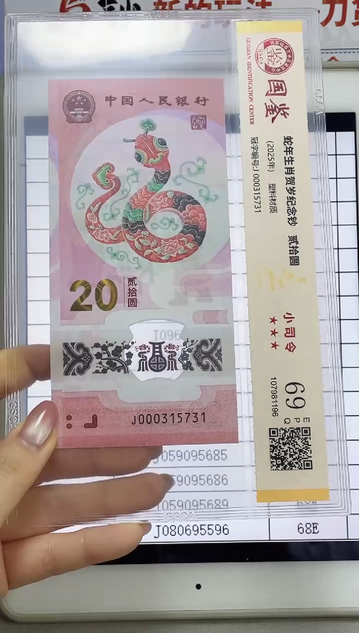 塑料蛇副司令69分无4J000315731