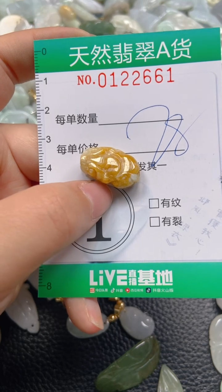 翡翠未镶嵌颈饰闪购0122661