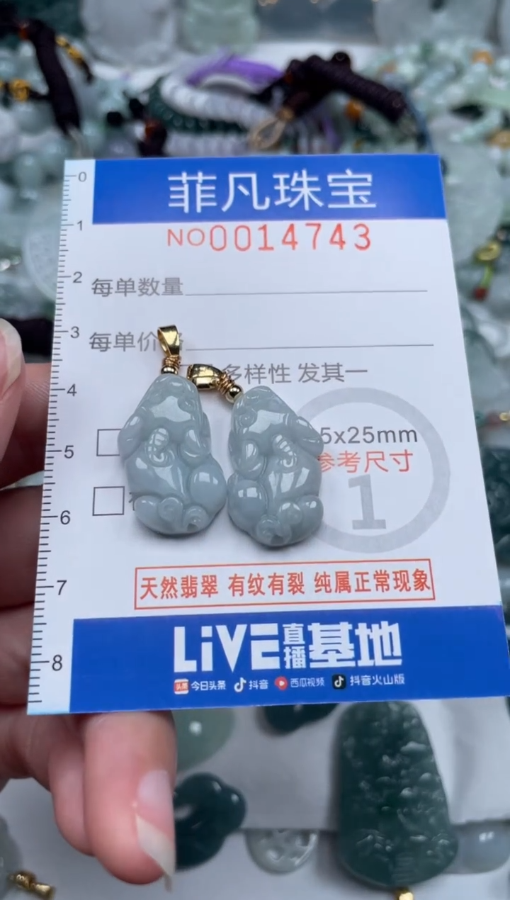 颈饰未镶嵌翡翠14743