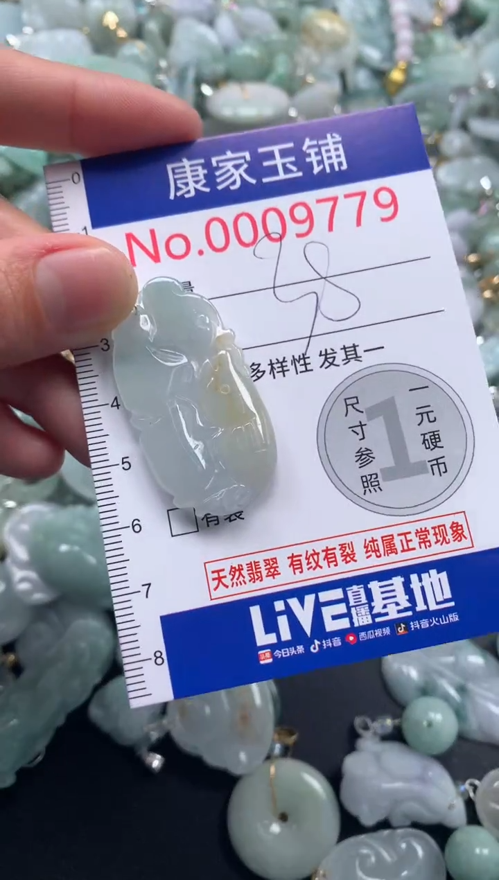 颈饰未镶嵌翡翠9779