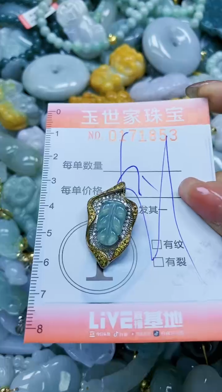 【闪购商品】翡翠颈饰未镶嵌闪购0171853