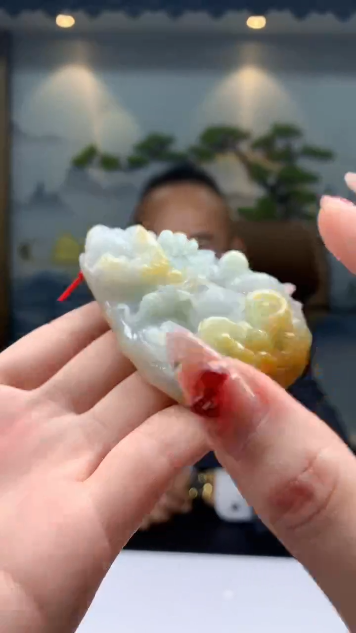 【闪购商品】定制翡翠未镶嵌1072ry-毛货挂件