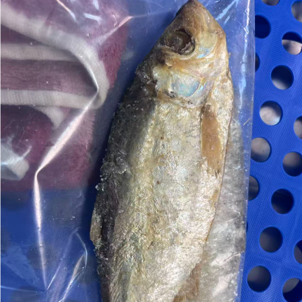 老宁波特产三刨咸鳓鱼咸香100g左右