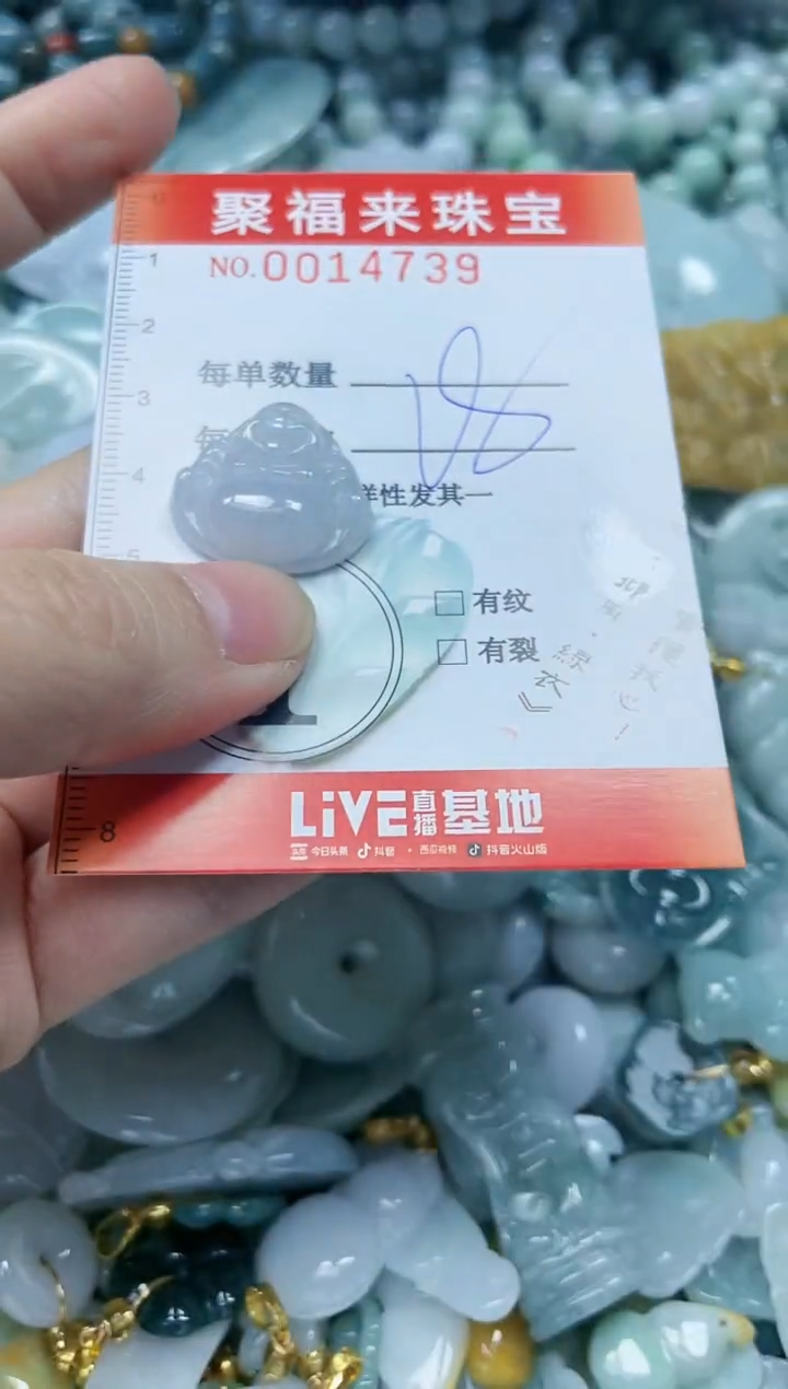 【闪购商品】翡翠颈饰未镶嵌闪购0014739