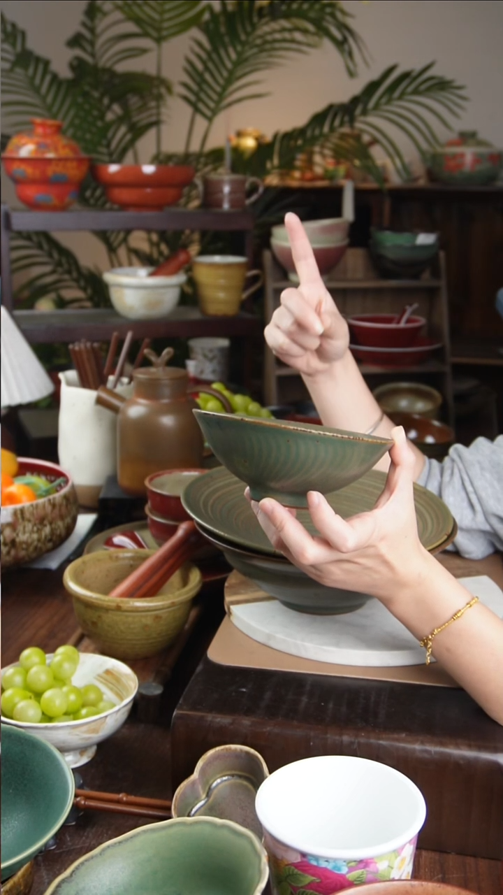 碗景德镇手工高温餐具春盛羽翅