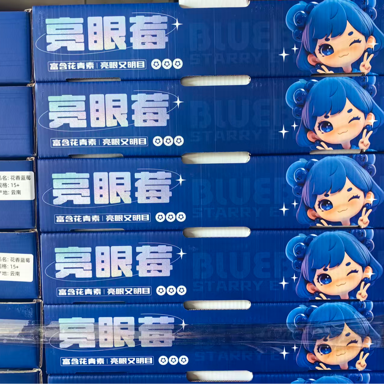 2箱 15mm+【亮眼莓】 脆甜多汁 花香满溢   