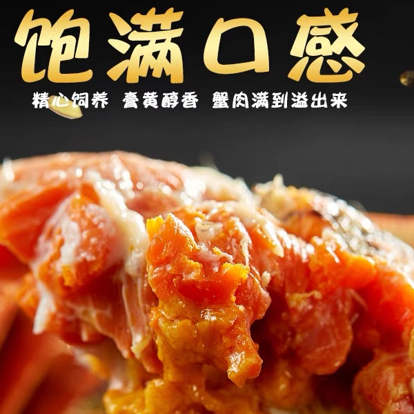 【活蟹】江苏大闸蟹母2.8-2.5两8只/10只鲜活螃蟹顺丰直发