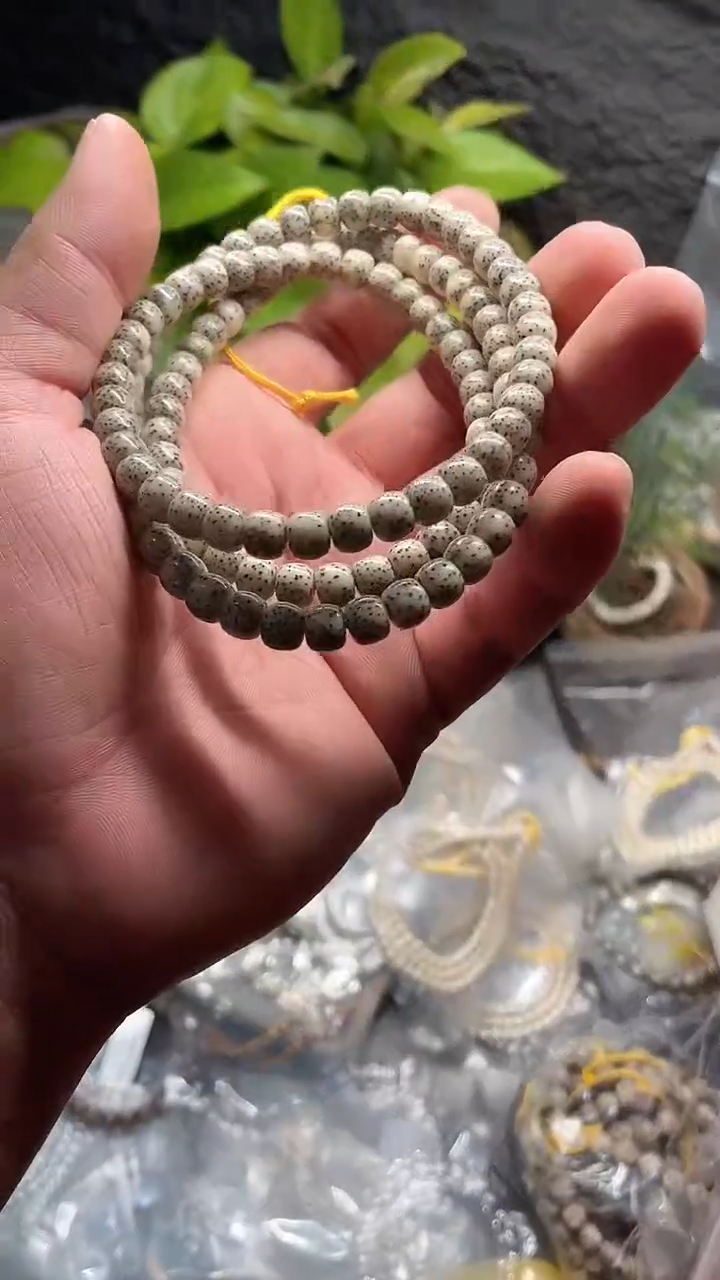 星月菩提吊坠海南星月菩提《*15》7X6长串