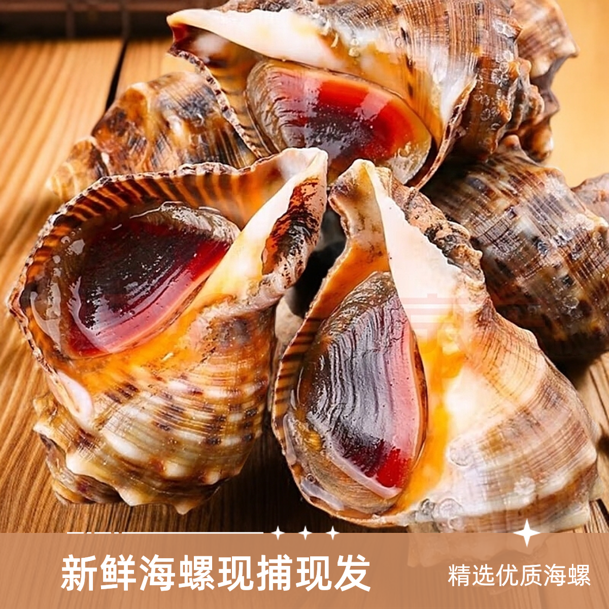 东港新鲜海螺3斤装（1斤5-7个鲜活发货保鲜不保活少量吐水顺丰发货