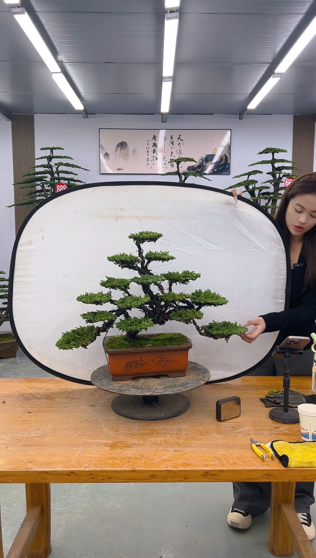 无花朵0000000000000