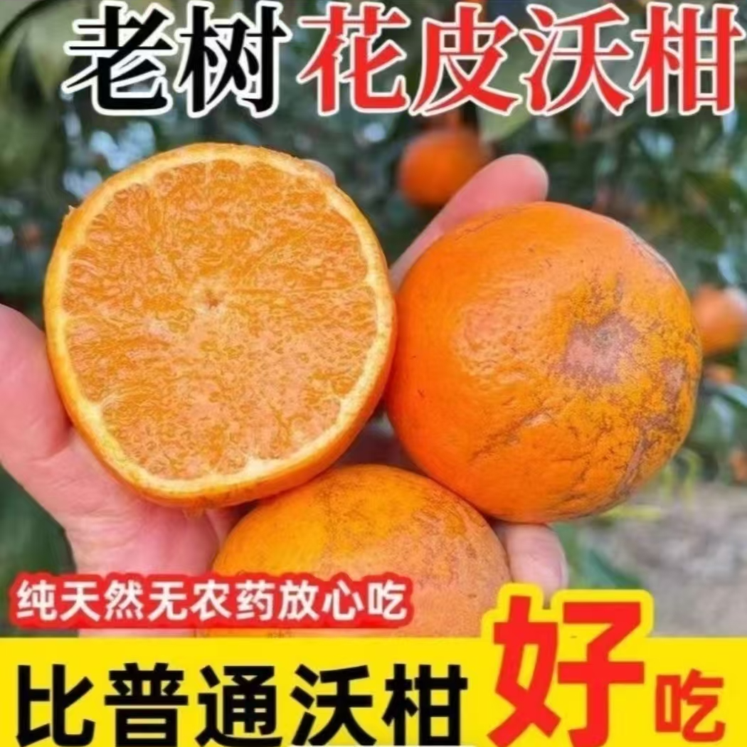 正宗广西武鸣花皮沃柑皮薄肉厚新鲜水果果园直发L