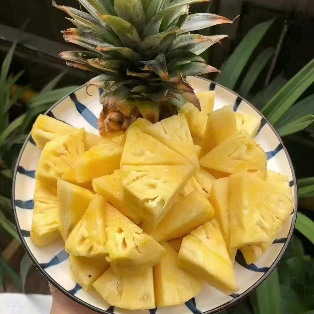 菲律宾进口蜂蜜凤梨2枚装