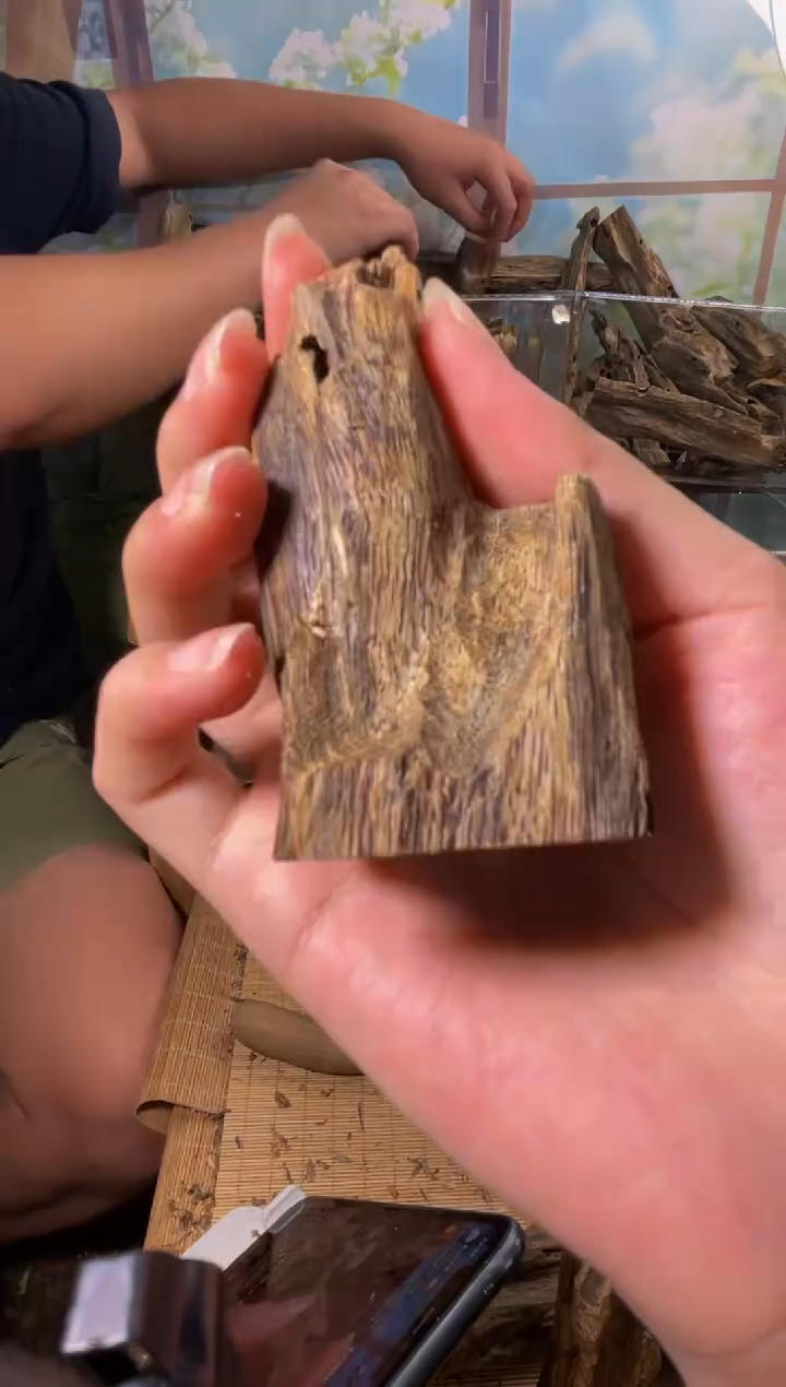 沉香碎屑沉香奇楠虫漏77