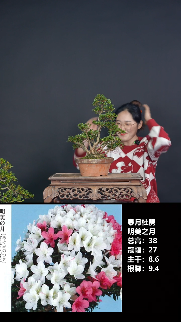 无花朵好*情明美之月-G7573