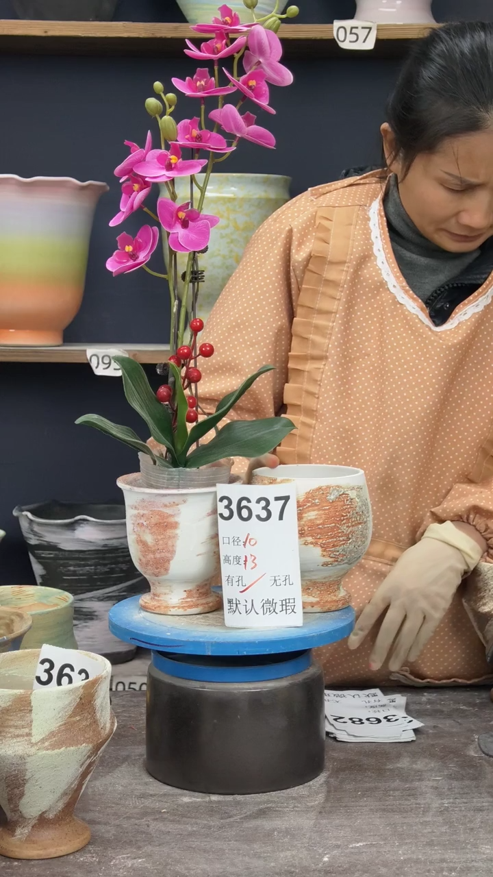 亞*?景德镇陶园花盆3637