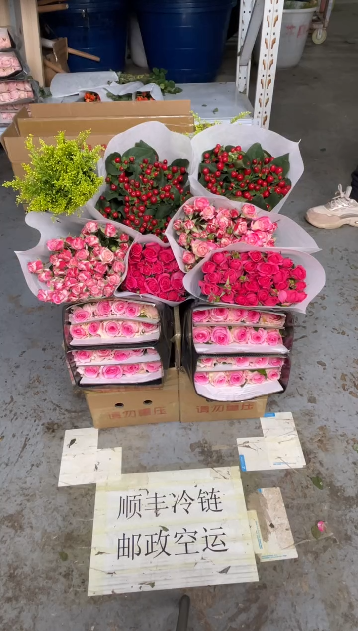 洛神20枝+苏菲10枝+折射10枝+红豆+黄莺