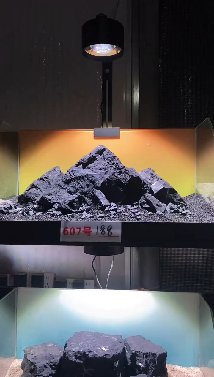 607号鱼缸造景（包含底砂）