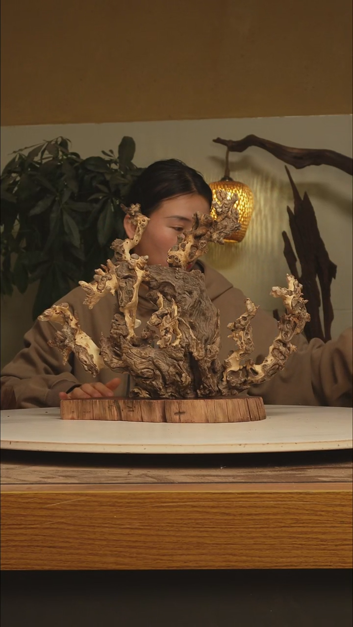 木闭**鱼金丝红木257