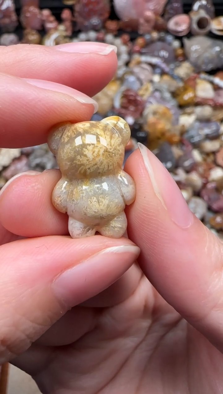 颈饰未镶嵌硅化珊瑚（珊瑚玉）260