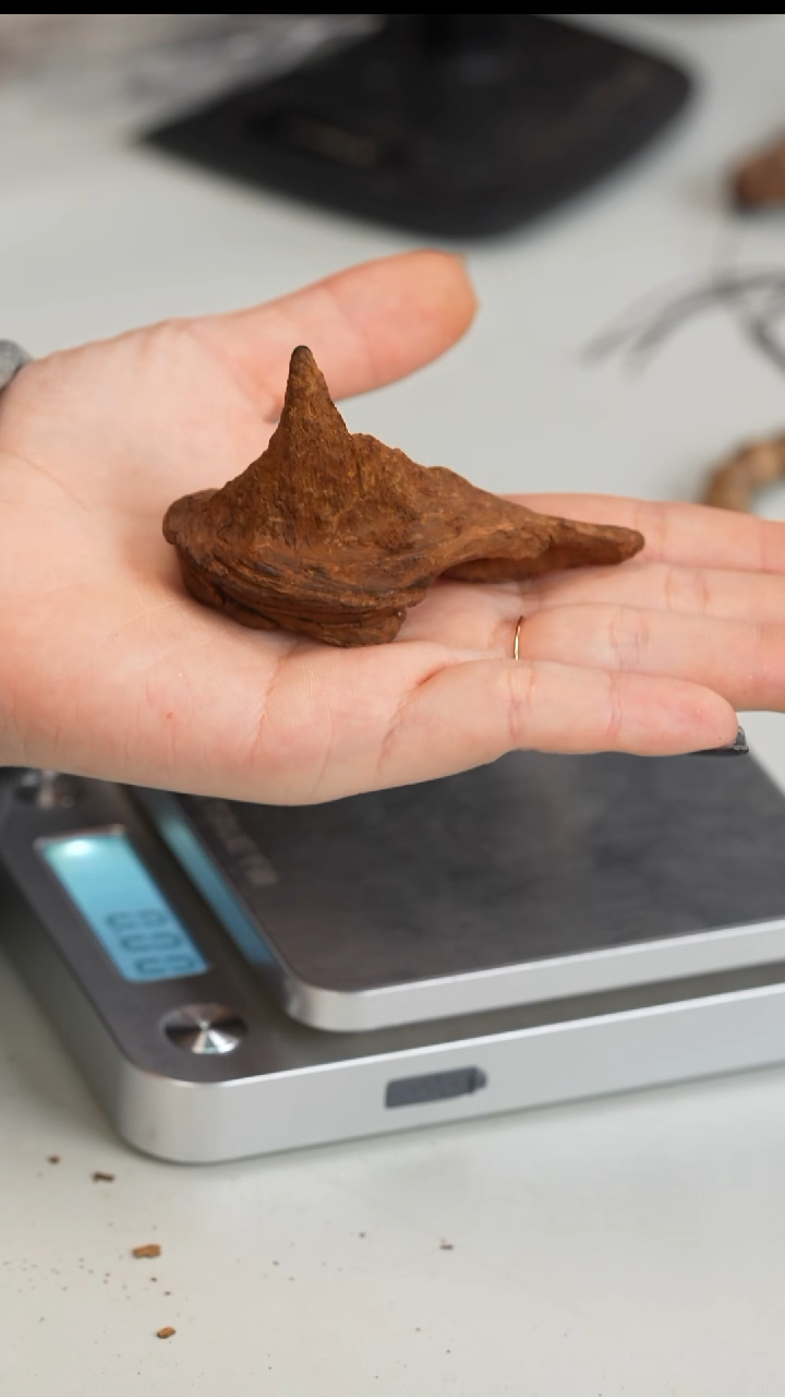 沉香沉香碎屑沉水越南富森红土 15.1g