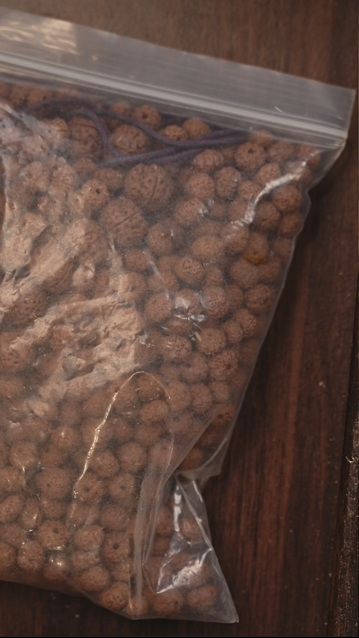 手串金刚菩提散籽