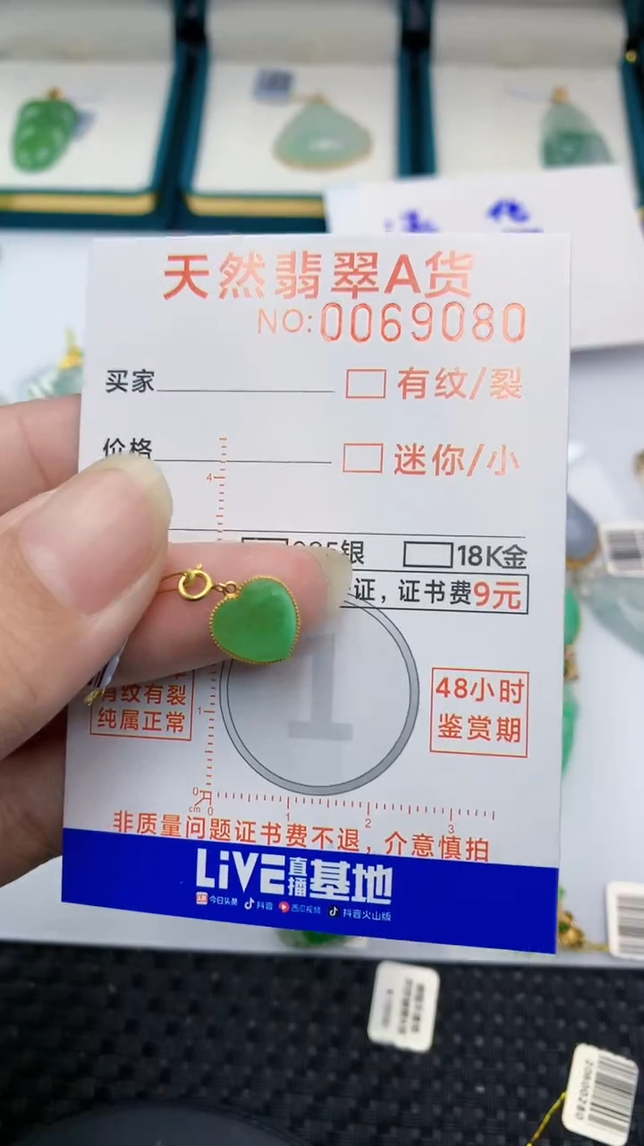 【闪购商品】翡翠颈饰18K金镶嵌            8