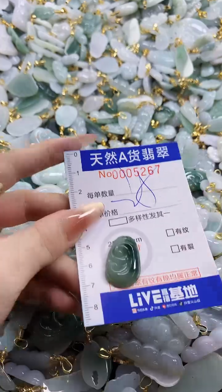 颈饰未镶嵌翡翠天然A货翡翠