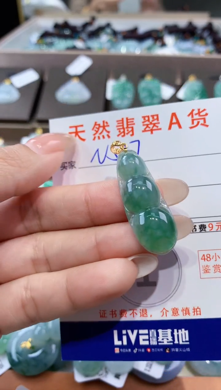 颈饰未镶嵌翡翠天然缅甸翡翠A货挂件 