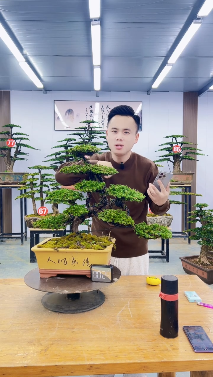 无花朵00000000000000000000000