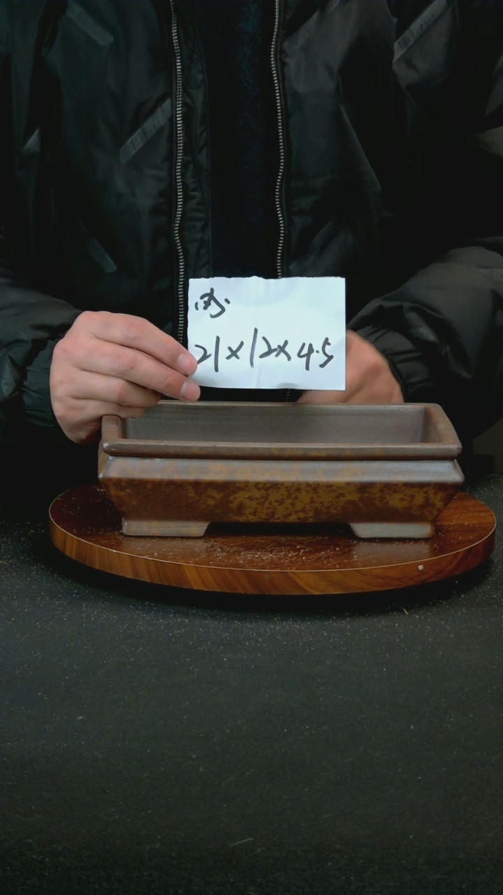 【闪购商品】紫砂G79