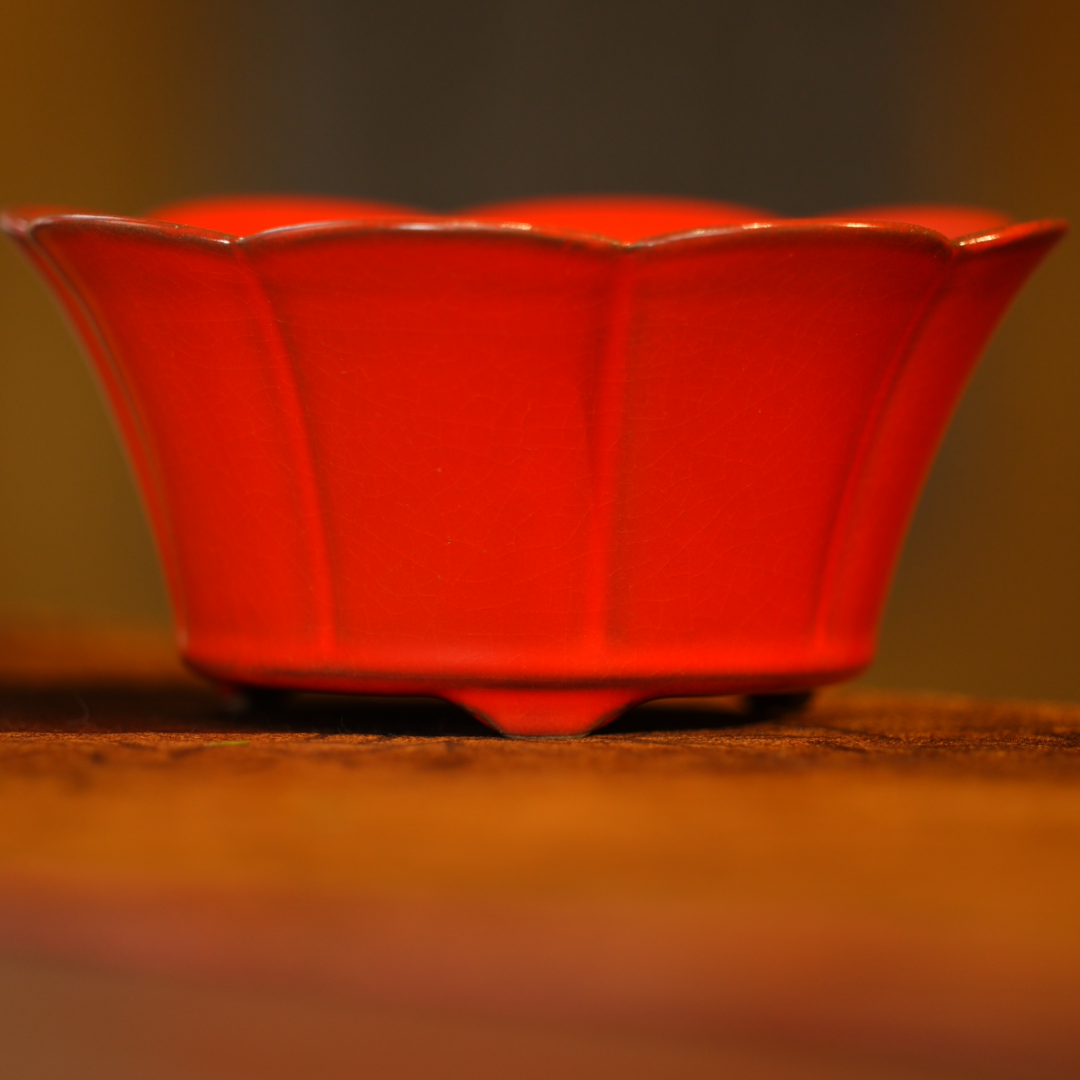 【观山见茶】TX-苏打花口炉-红