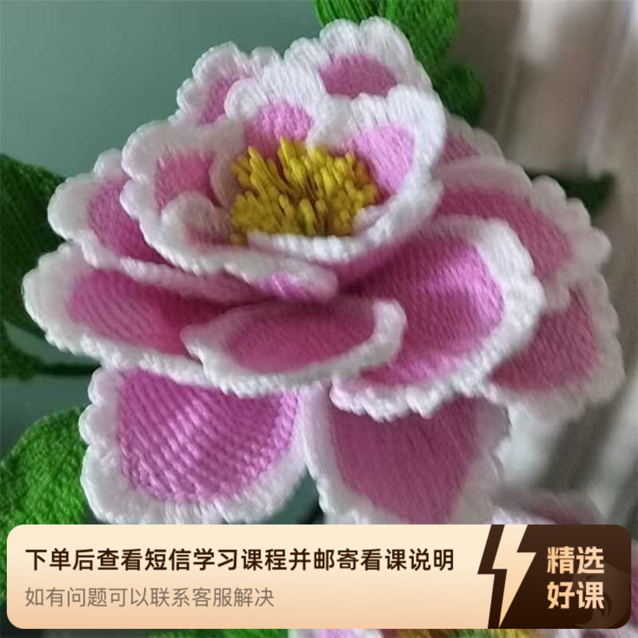 多种花叶分享给你（留意短信解锁课程）