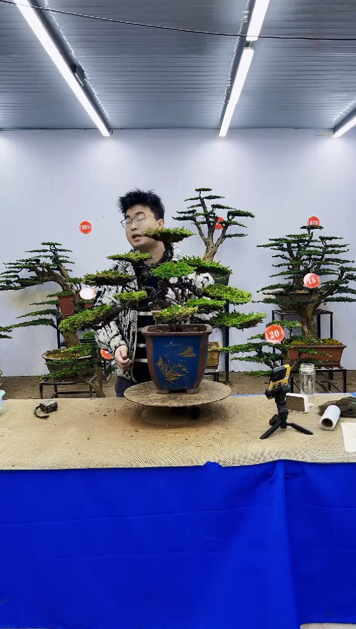 完全开放一物一拍，所见即所得