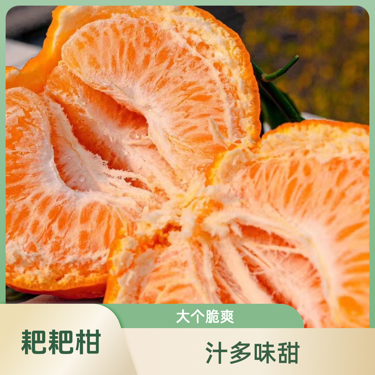 四川爆汁耙耙柑一份2斤装