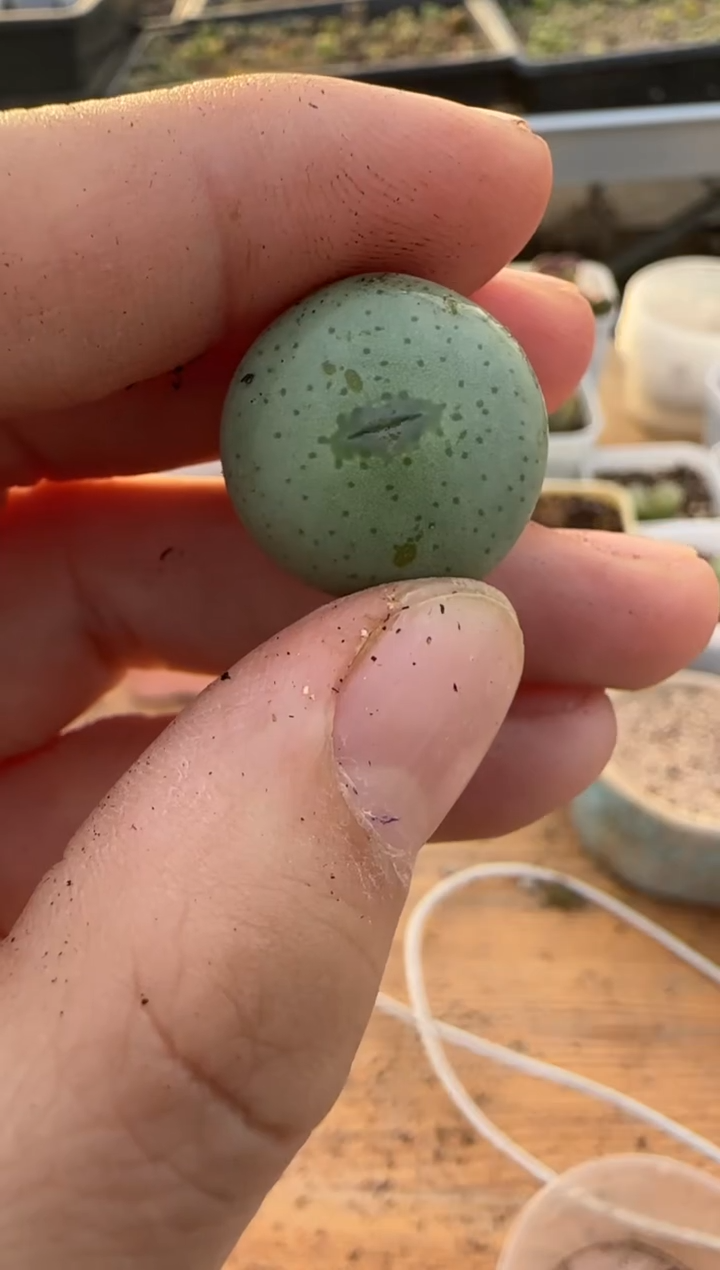 【闪购商品】9-390