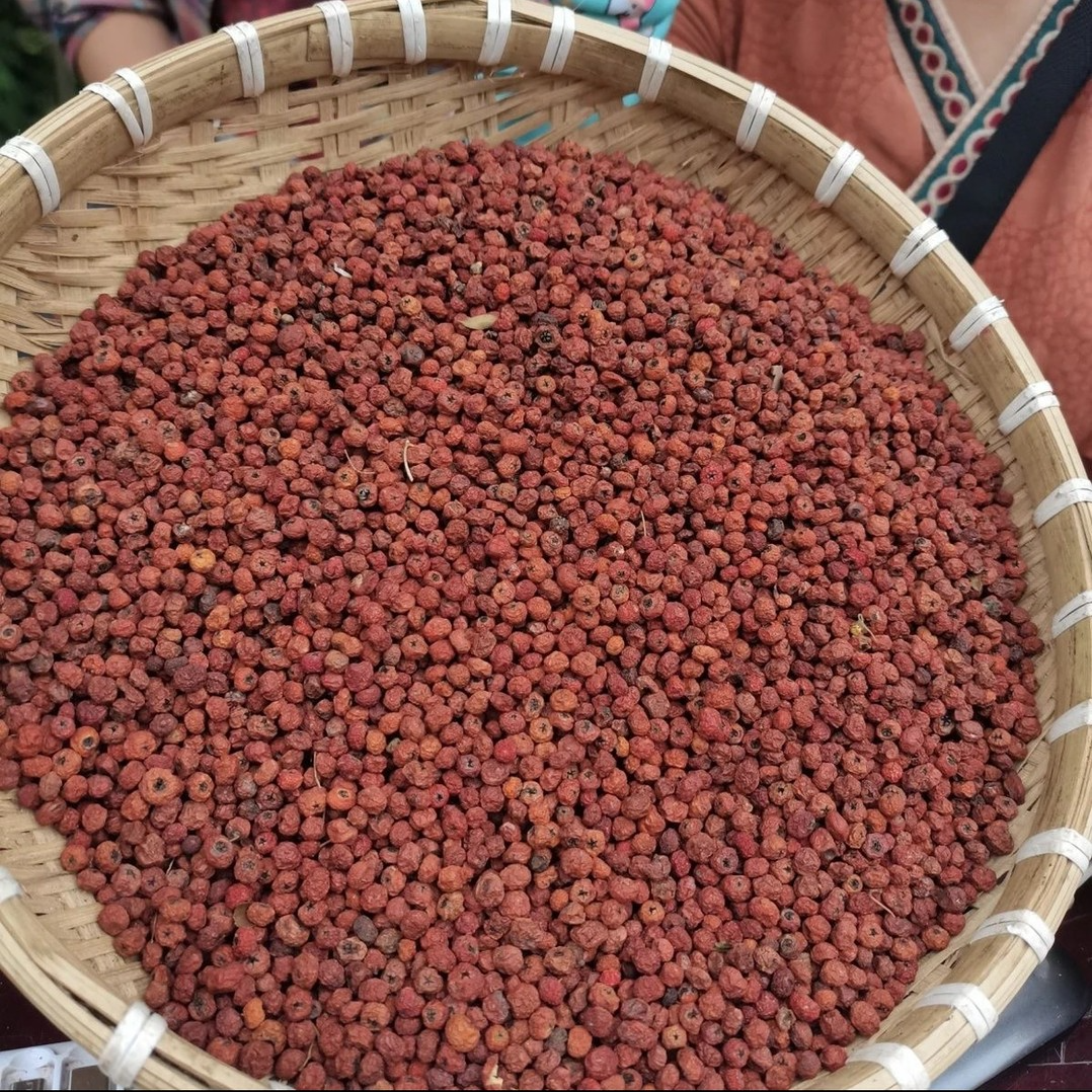 云南土特产中缅边境山货【  紫杉果  】 煮水  泡水  煲汤